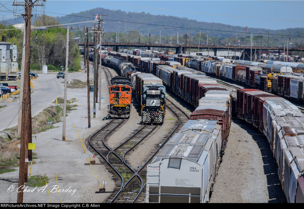 BNSF IN DEBUTTS